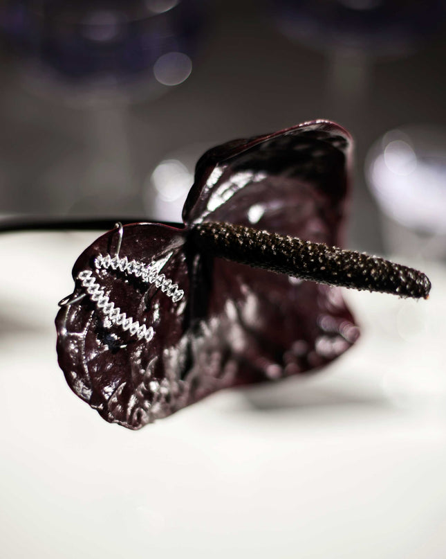 BRINCO EARCUFF - ZIRCÔNIAS BRANCAS